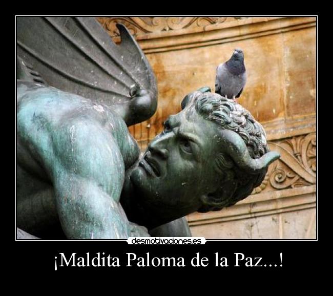 carteles maldita paloma desmotivaciones