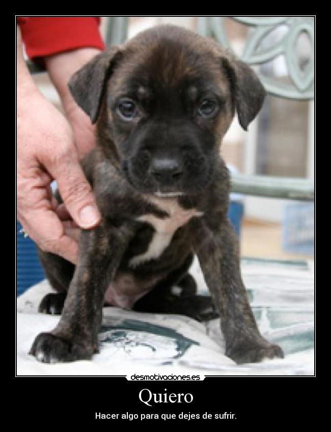Quiero - Hacer algo para que dejes de sufrir.