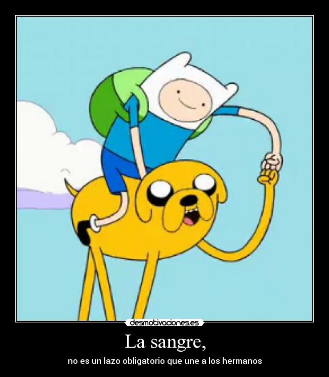 carteles finn jake hora aventura hermanos sangre desmotivaciones