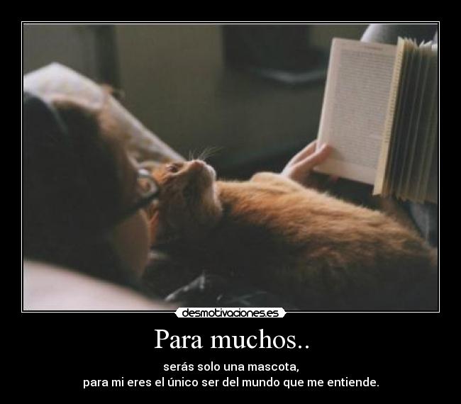Para muchos.. - 