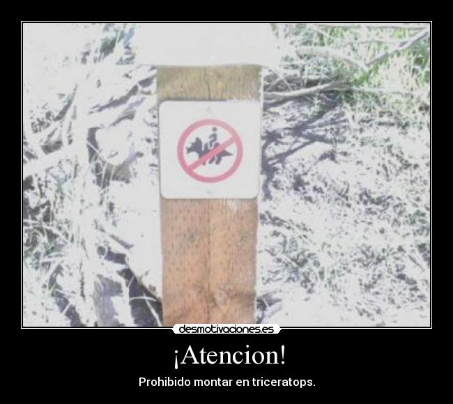 ¡Atencion! - Prohibido montar en triceratops.