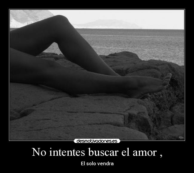 No intentes buscar el amor , - El solo vendra