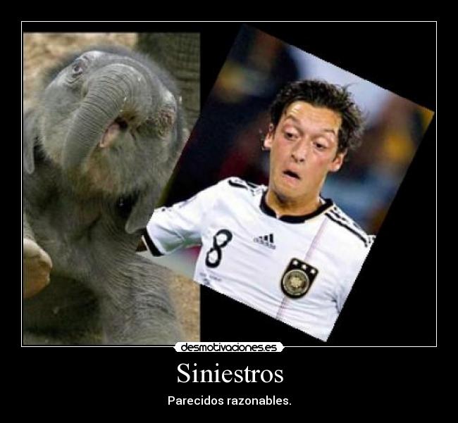 Siniestros - Parecidos razonables.