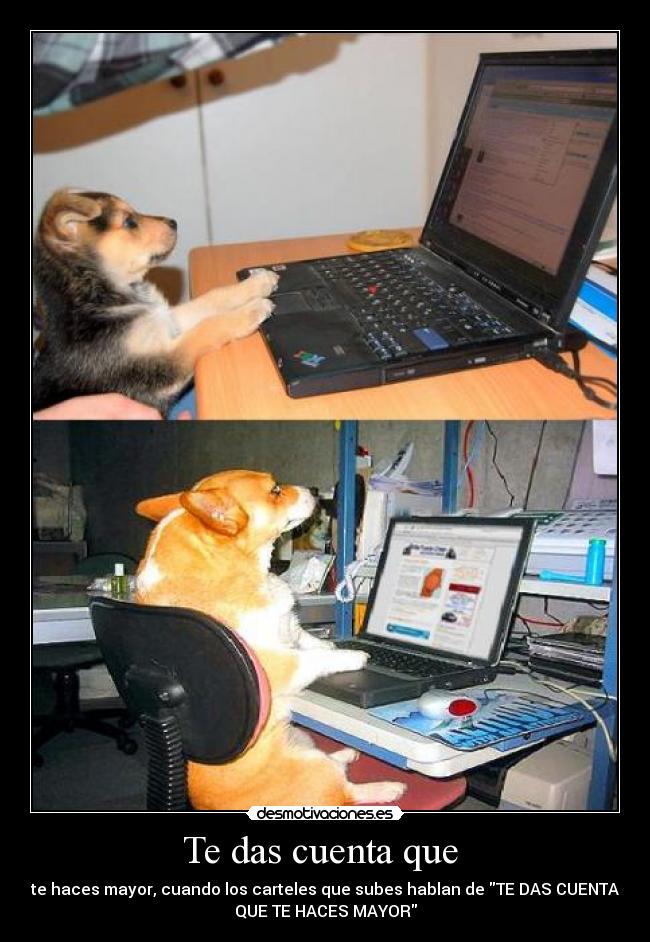 Te das cuenta que  - te haces mayor, cuando los carteles que subes hablan de TE DAS CUENTA
QUE TE HACES MAYOR