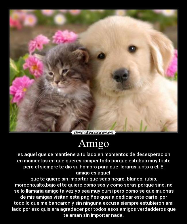 Amigo - es aquel que se mantiene a tu lado en momentos de desesperacion
en momentos en que queres romper todo porque estabas muy triste
pero el siempre te dio su hombro para que lloraras junto a el. El
amigo es aquel 
que te quiere sin importar que seas negro, blanco, rubio,
morocho,alto,bajo el te quiere como sos y como seras porque sino, no
se lo llamaria amigo talvez yo sea muy cursi pero como se que muchas
de mis amigas visitan esta pag ñes queria dedicar este cartel por
todo lo que me bancaron y sin ninguna excusa siempre estubieron ami
lado por eso quisiera agradecer por todos esos amigos verdadderos que
te aman sin importar nada.