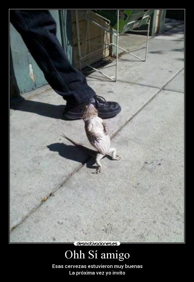 Ohh Sí amigo - Esas cervezas estuvieron muy buenas
La próxima vez yo invito