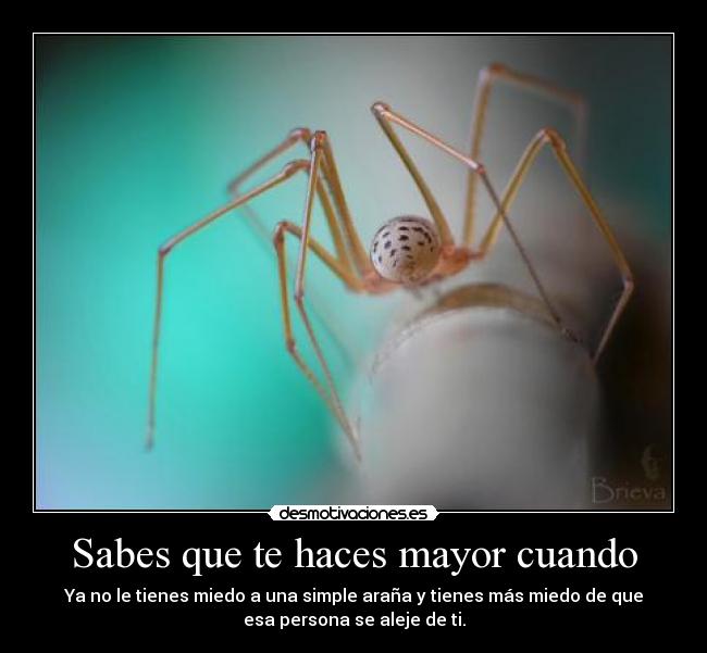 Sabes que te haces mayor cuando - Ya no le tienes miedo a una simple araña y tienes más miedo de que
esa persona se aleje de ti.