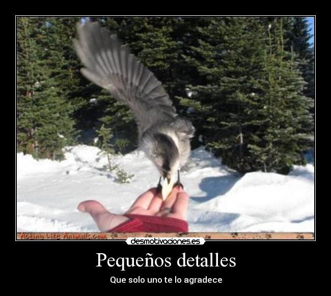 Pequeños detalles - Que solo uno te lo agradece