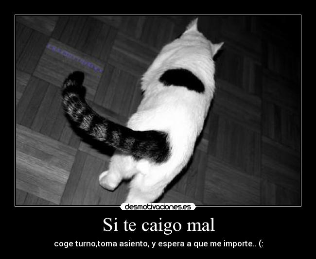 Si te caigo mal - coge turno,toma asiento, y espera a que me importe.. (: