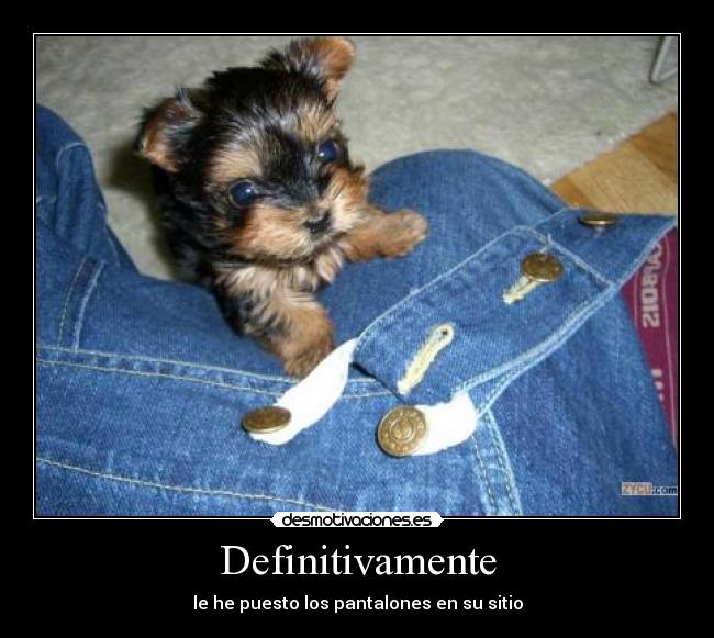 Definitivamente - le he puesto los pantalones en su sitio