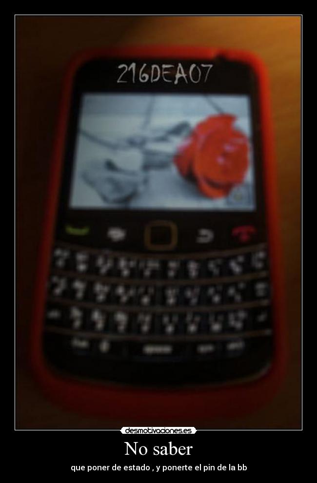 No saber - que poner de estado , y ponerte el pin de la bb