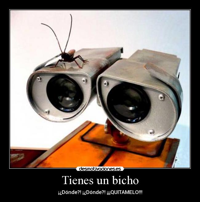 Tienes un bicho - ¡¿Dónde?! ¡¿Dónde?! ¡¡¡QUITAMELO!!!