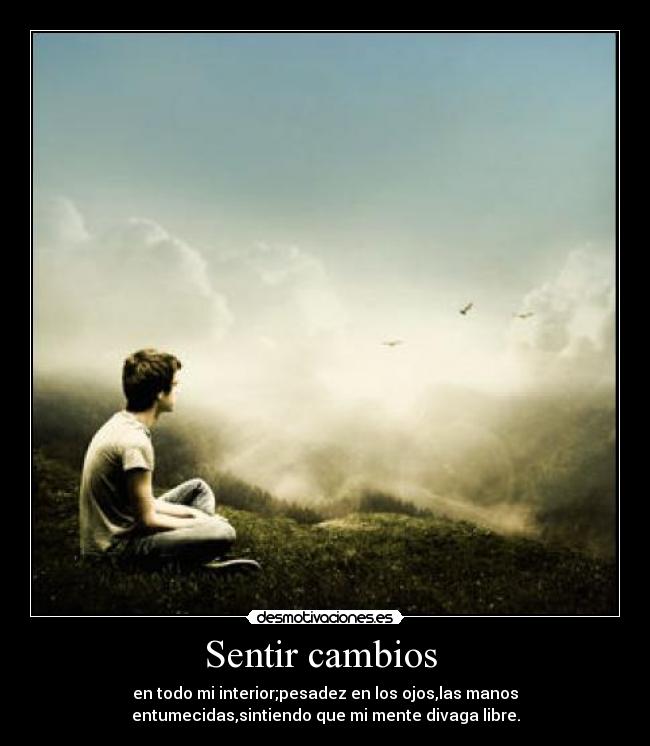 Sentir cambios  - en todo mi interior;pesadez en los ojos,las manos
entumecidas,sintiendo que mi mente divaga libre.