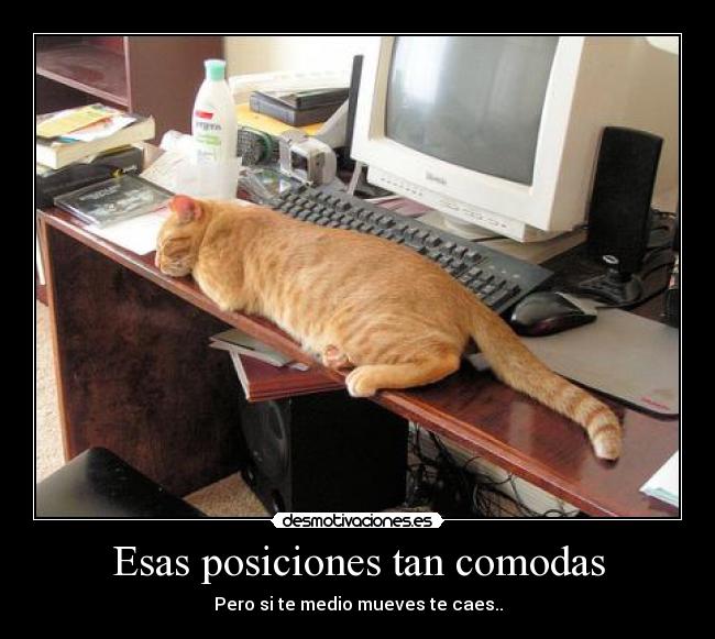 Esas posiciones tan comodas - Pero si te medio mueves te caes..