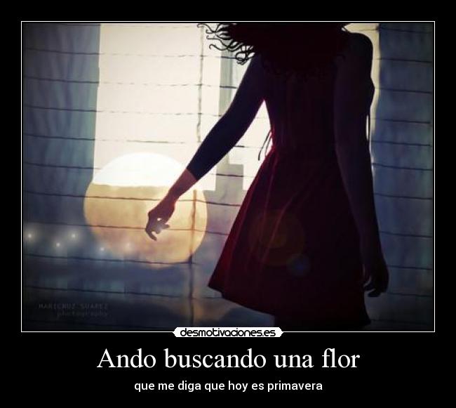 carteles mae desmotivaciones