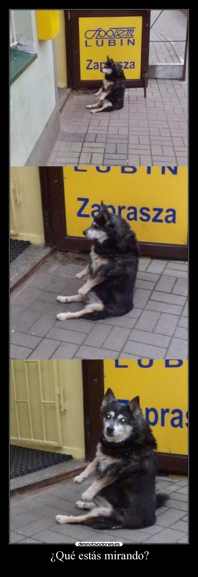 ¿Qué estás mirando? -