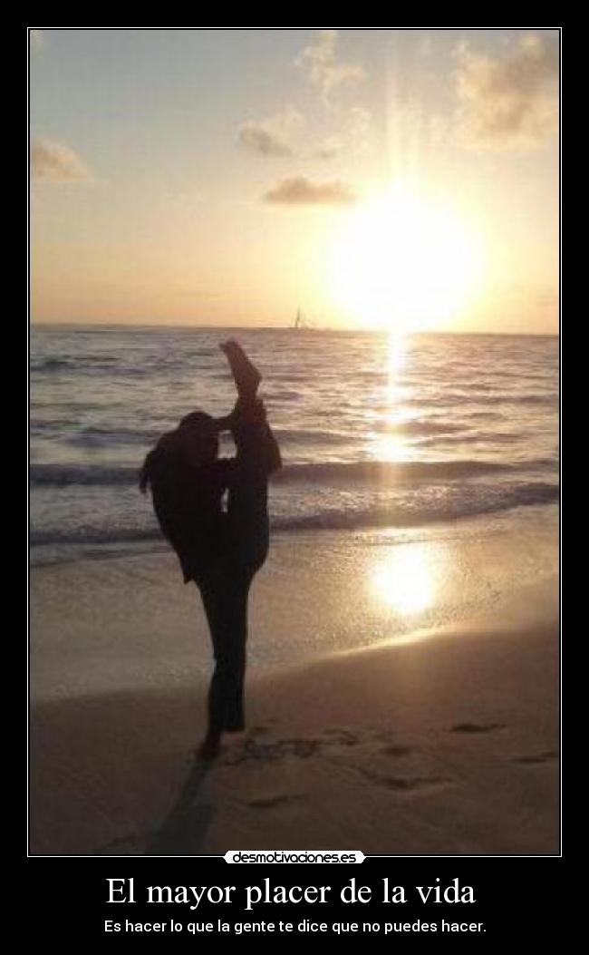 El mayor placer de la vida - Es hacer lo que la gente te dice que no puedes hacer.