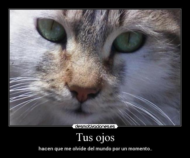 Tus ojos - hacen que me olvide del mundo por un momento..