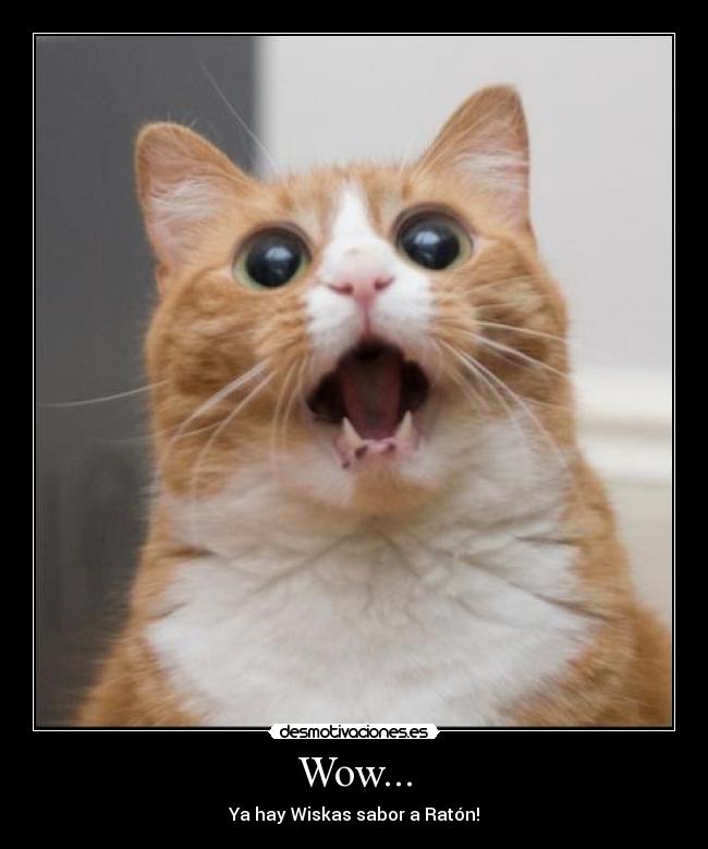 Wow... - Ya hay Wiskas sabor a Ratón!