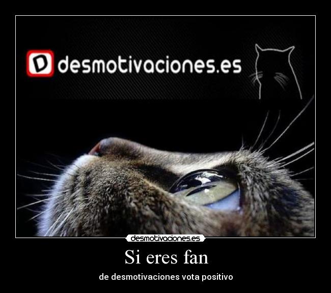 Si eres fan -