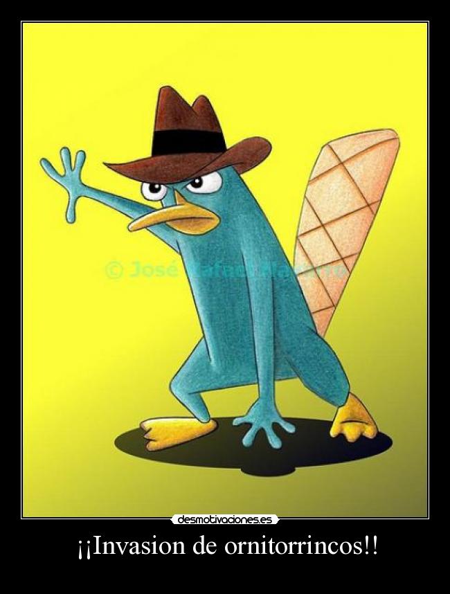 ¡¡Invasion de ornitorrincos!! - 