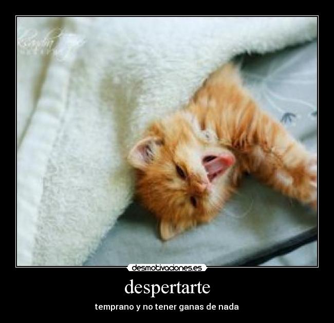 despertarte - 