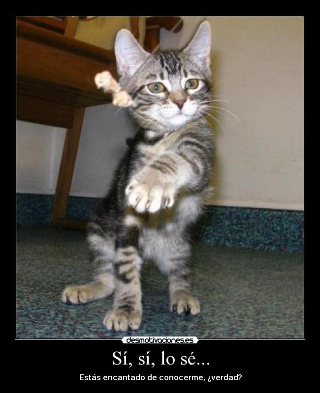 Sí, sí, lo sé... - Estás encantado de conocerme, ¿verdad?