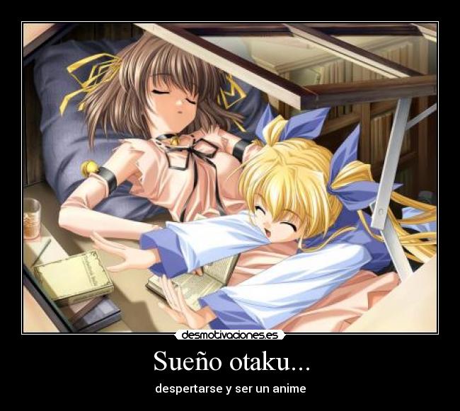 Sueño otaku... - 