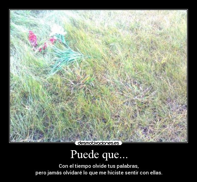 Puede que... - Con el tiempo olvide tus palabras,
pero jamás olvidaré lo que me hiciste sentir con ellas.