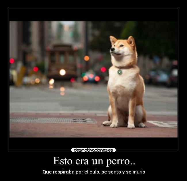 Esto era un perro.. - Que respiraba por el culo, se sento y se murio