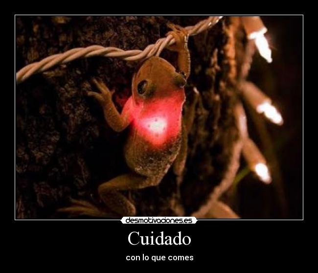 carteles puedes salir mal parado desmotivaciones