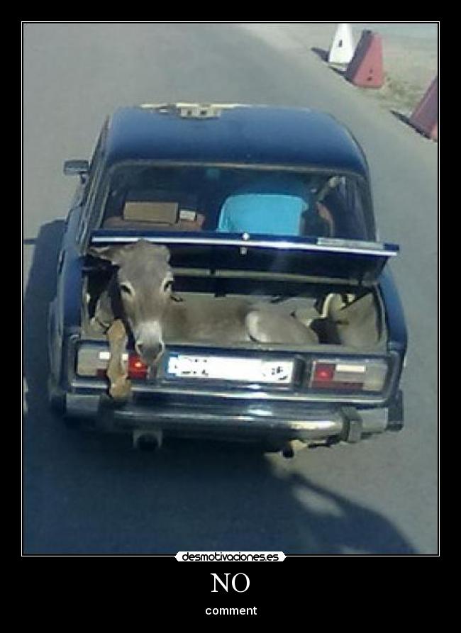 carteles  desmotivaciones