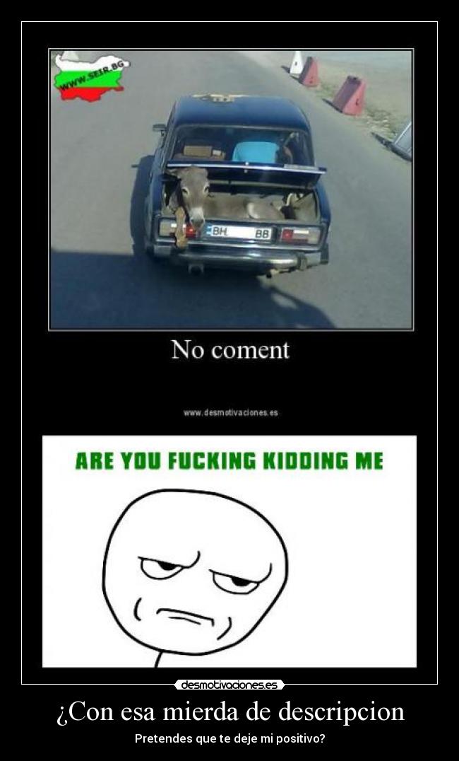 ¿Con esa mierda de descripcion - Pretendes que te deje mi positivo?