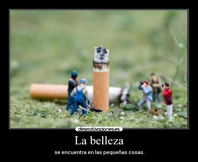 La belleza - 