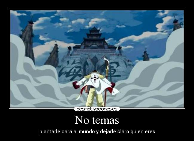 carteles rincewind one piece shirohige temas plantarle cara mundo dejarle claro quien eres desmotivaciones