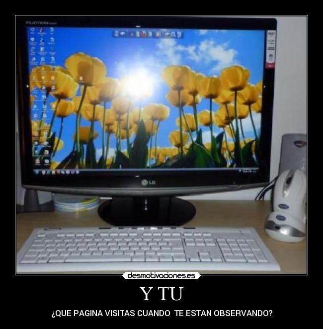 carteles walt_k desmotivaciones