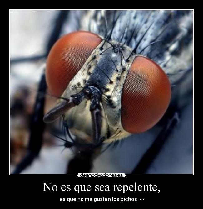 No es que sea repelente, - es que no me gustan los bichos ¬¬