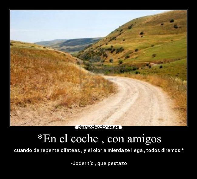 *En el coche , con amigos - cuando de repente olfateas , y el olor a mierda te llega , todos diremos:*

-Joder tío , que pestazo
