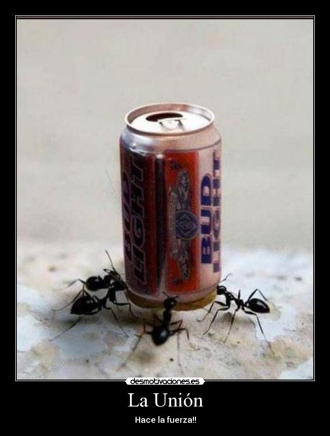 La Unión -