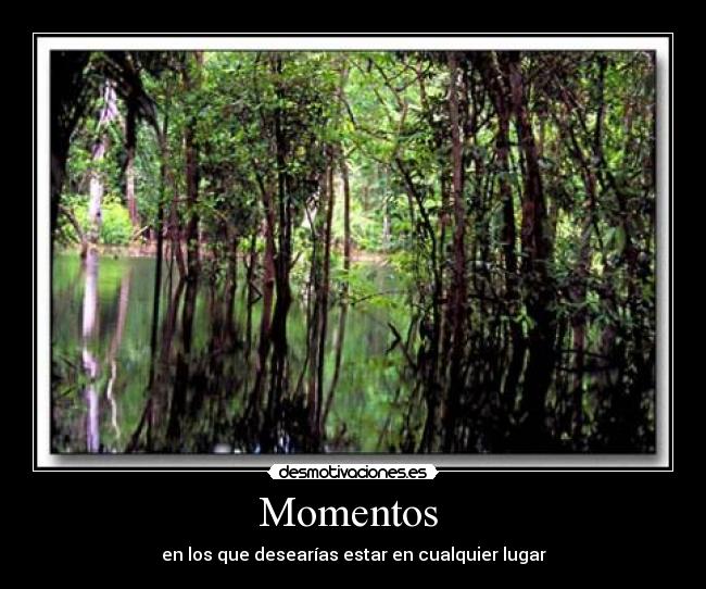 carteles momentos desmotivaciones