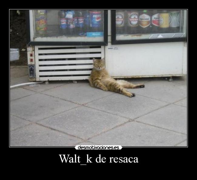 Walt_k de resaca -