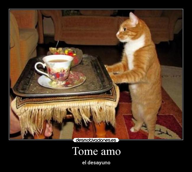 Tome amo - el desayuno