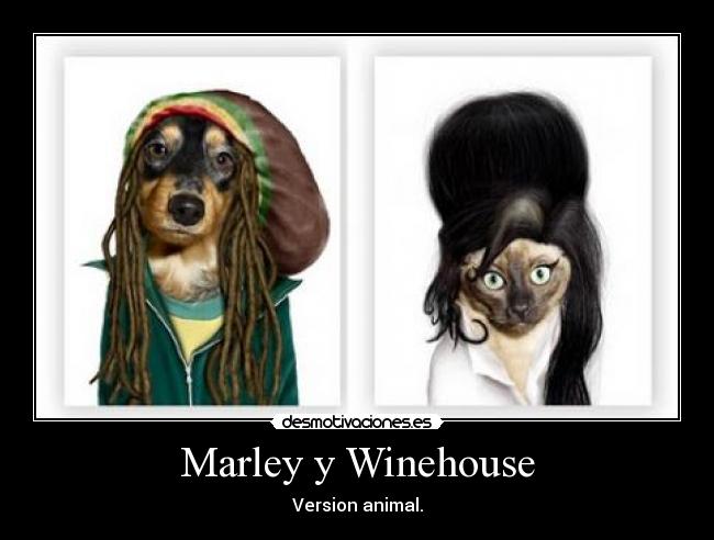 Marley y Winehouse -