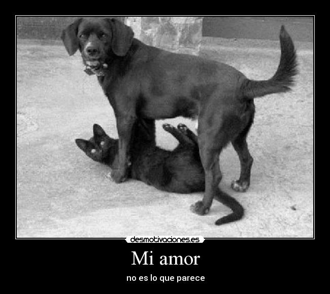 Mi amor - no es lo que parece