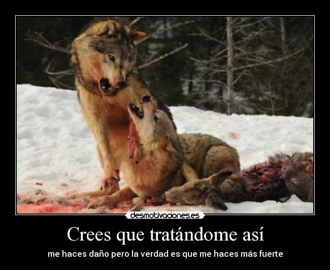 Crees que tratándome así - 