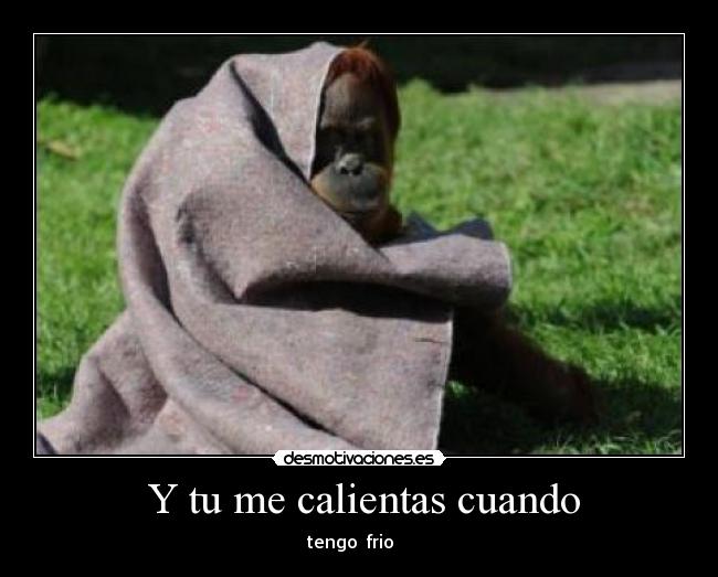  Y tu me calientas cuando - 