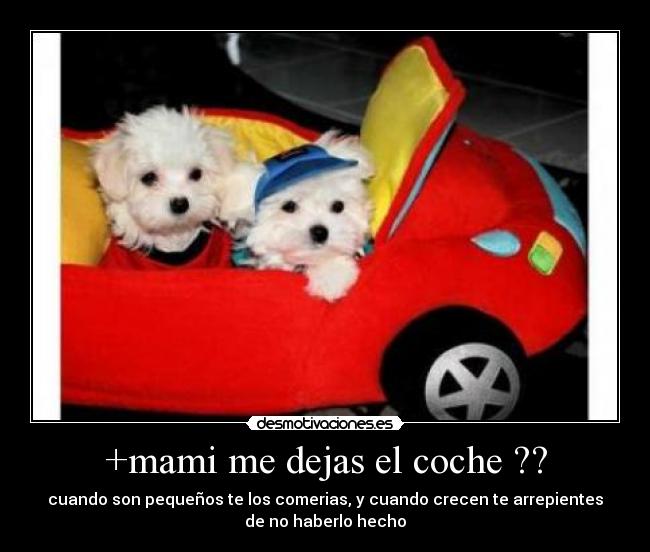 +mami me dejas el coche ?? -