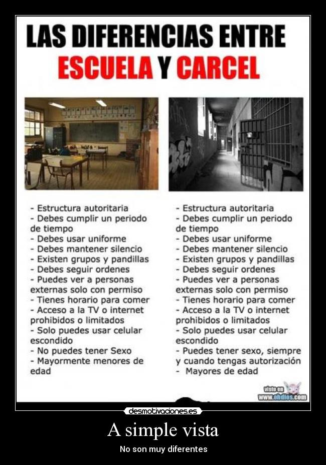 A simple vista - No son muy diferentes
