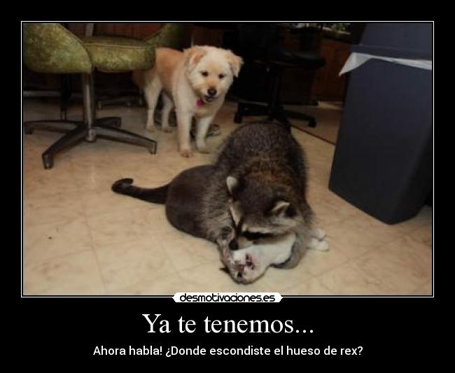 Ya te tenemos... - Ahora habla! ¿Donde escondiste el hueso de rex?