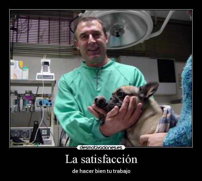 La satisfacción - 